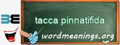 WordMeaning blackboard for tacca pinnatifida